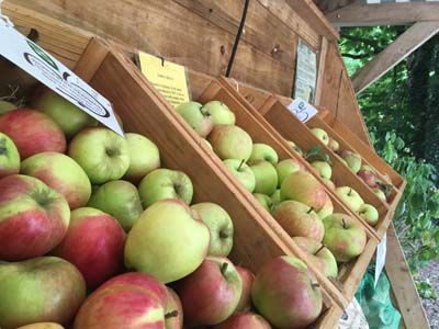 apples in baskets on a stand