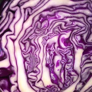 beautiful slice through a red cabbage